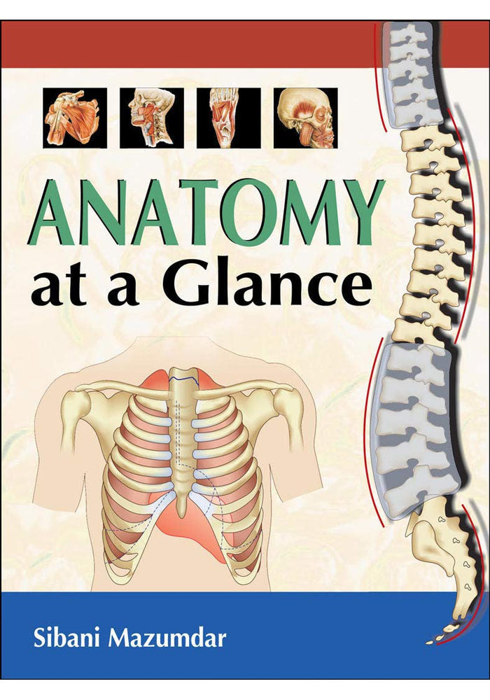 [(Anatomy at a Glance)] [Author: Sibani Mazumdar] published on (April, 2010) Paperback
